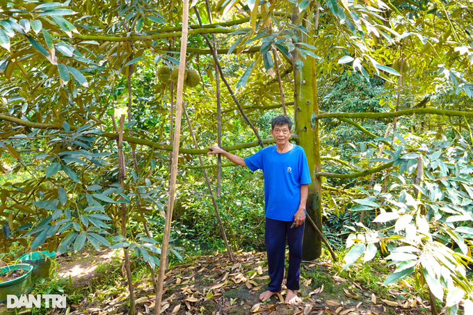 Durian exported abroad increased to a record price, farmers immediately profited billions - 4