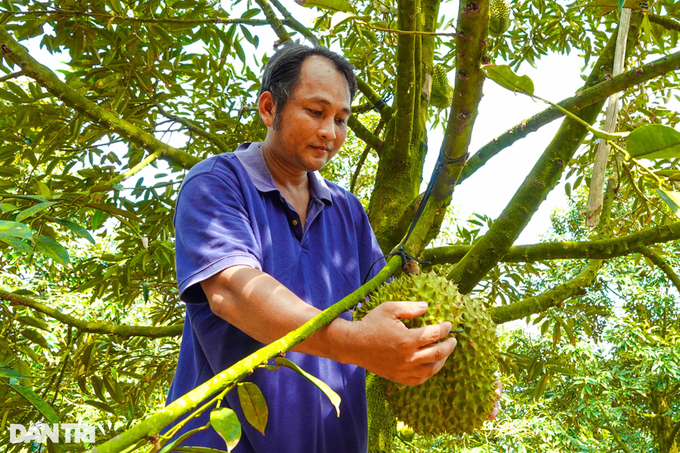 Durian exported abroad increased to a record price, farmers immediately profited billions - 3