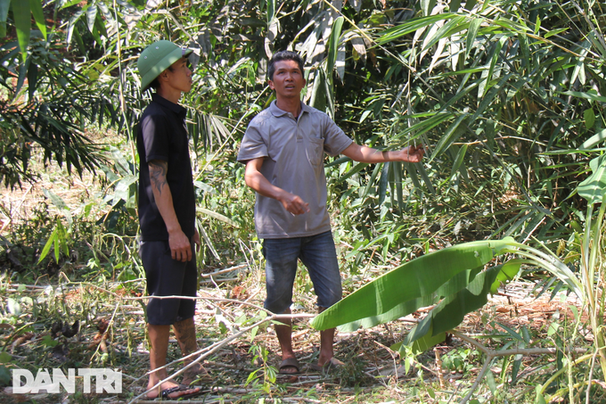 Village director collects billions by processing cashews and planting Bat Do bamboo - 4