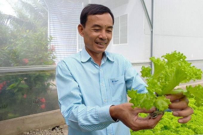 U50 director quits his job, starts a vegetable growing business, earns 100 million/month - 1