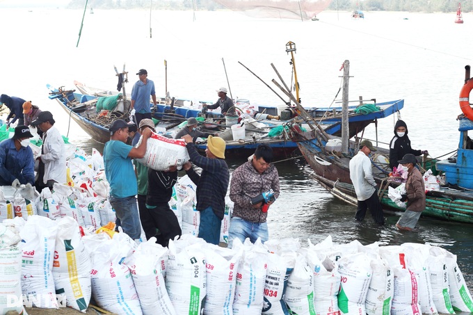 Trắng đêm cào ốc gạo, ngư dân bỏ túi bạc triệu - 2