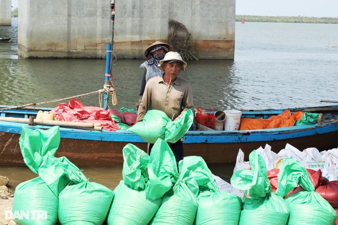 Trắng đêm cào ốc gạo, ngư dân bỏ túi bạc triệu - 3