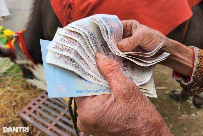 Nghề độc lạ giúp vợ chồng 80 tuổi sống khỏe, chưa cần nhờ con cháu - 5 Nghề độc lạ giúp vợ chồng 80 tuổi sống khỏe, chưa cần nhờ con cháu - 5