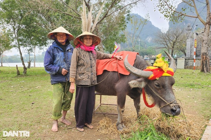 Nghề độc lạ giúp vợ chồng 80 tuổi sống khỏe, chưa cần nhờ con cháu - 1