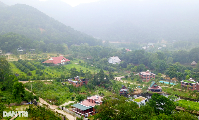 Mua đất rừng sản xuất làm homestay, cẩn thận bỏng tay - 2 Mua đất rừng sản xuất làm homestay, cẩn thận bỏng tay - 2