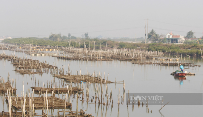 Buồn thiu, vỡ mộng rót tiền nuôi loài tăng cường sinh lực - 5