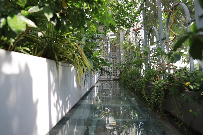 Aviary đẹp
