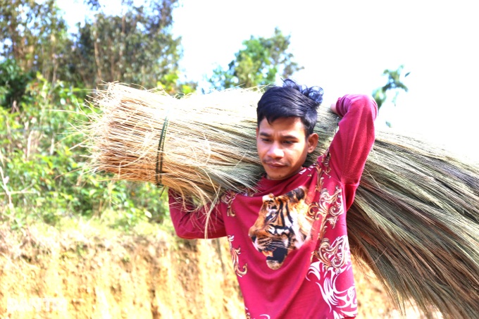 Harvest season in the mountainous region of Quang - 4