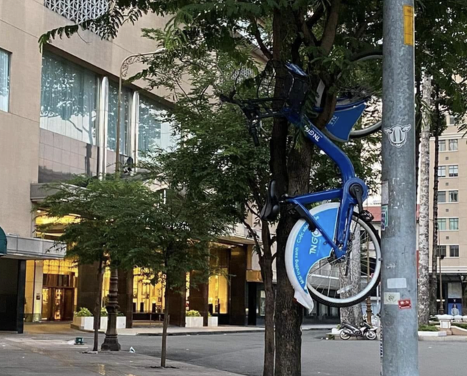 'Khóc ròng' khi xe đạp công cộng ở TP.HCM bị treo ngược cành cây - 2