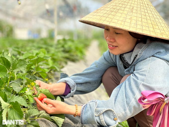 Chàng trai trẻ bôn ba nhiều nước, về quê bắt vùng đất hoang hóa đẻ tiền - 3