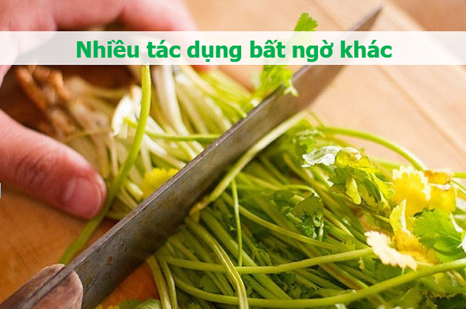 Loại rau trong bún, phở là siêu thực phẩm ngừa ung thư, ngăn lão hóa - 4