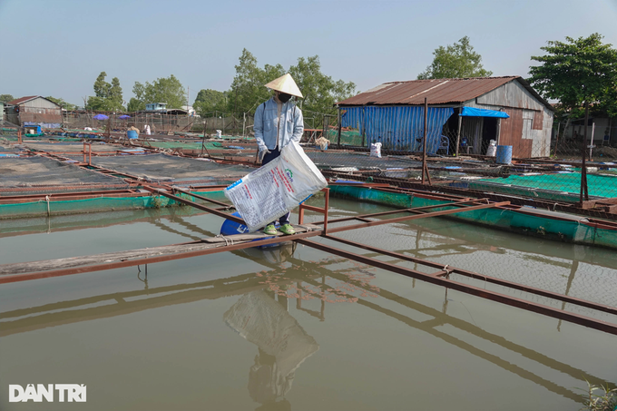 Cô giáo mầm non nghỉ việc về nuôi thủy quái sông Mekong - 3