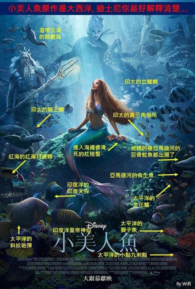 Poster phim Nàng tiên cá bị châm biếm vì sai kiến thức khoa học cơ bản - 1