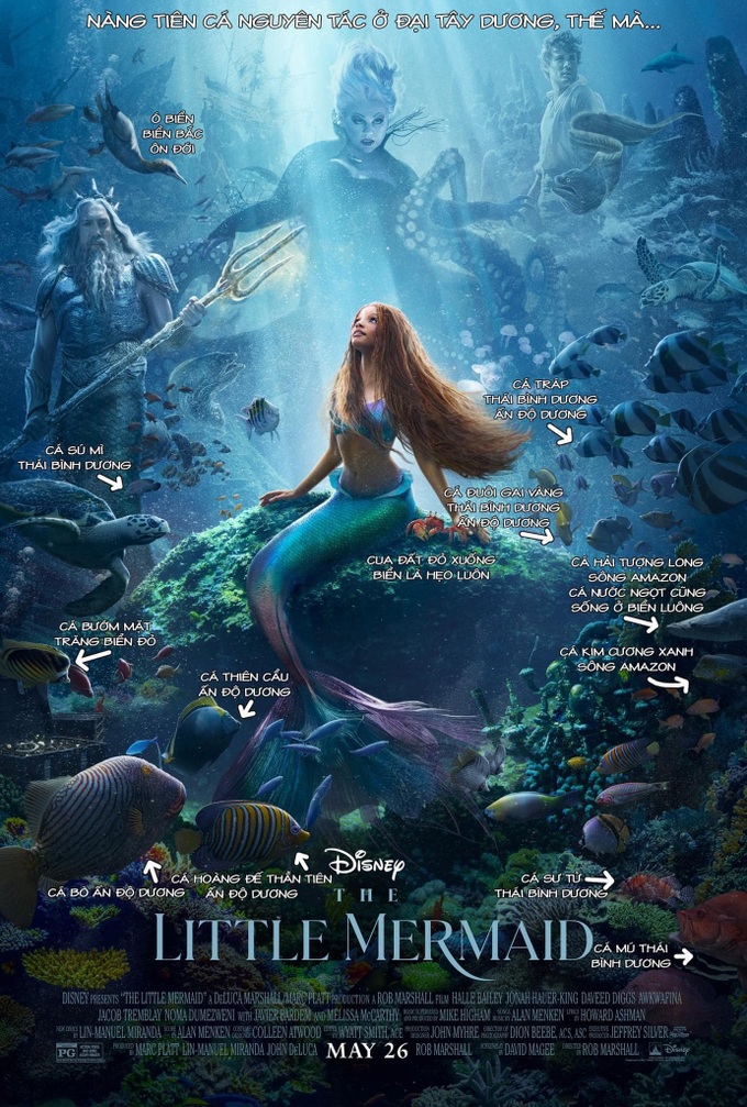 072023 Lí Giải Sự Khác Nhau Giữa Tiên Cá mermaid Và Người Cá siren