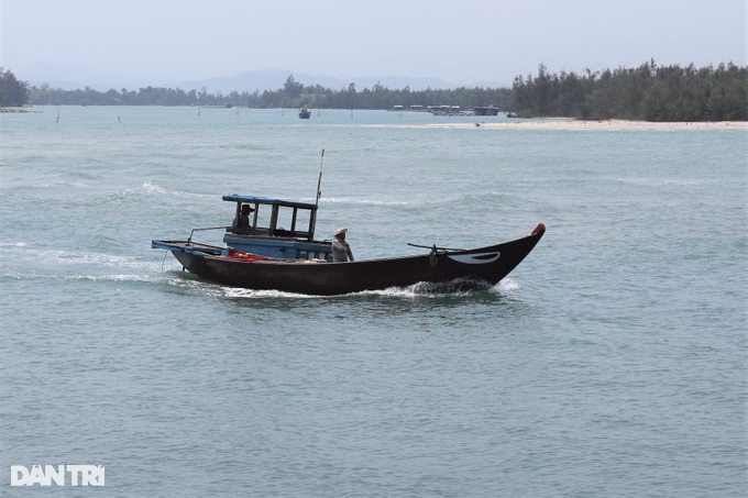 Vớt loài bé tí nổi tiếng đắt đỏ, ngư dân kiếm bạc triệu mỗi chuyến đi săn - 1