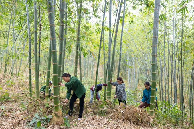 Người nuôi nghêu kể chuyện hét giá mà bất ngờ bán sạch trong một buổi - 1