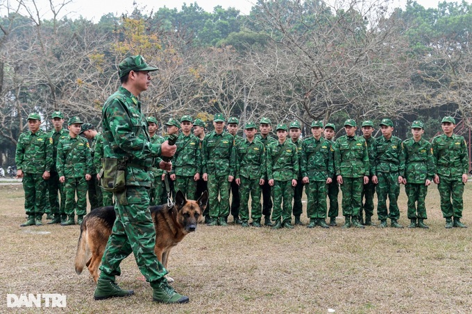 Những tiêu chí khắt khe trong tuyển chọn chó nghiệp vụ biên phòng - 1 Những tiêu chí khắt khe trong tuyển chọn chó nghiệp vụ biên phòng - 1