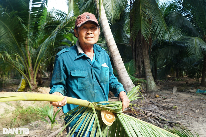 Cực nhọc nghề trộm mật ong dừa chỉ có ở miền Tây - 3