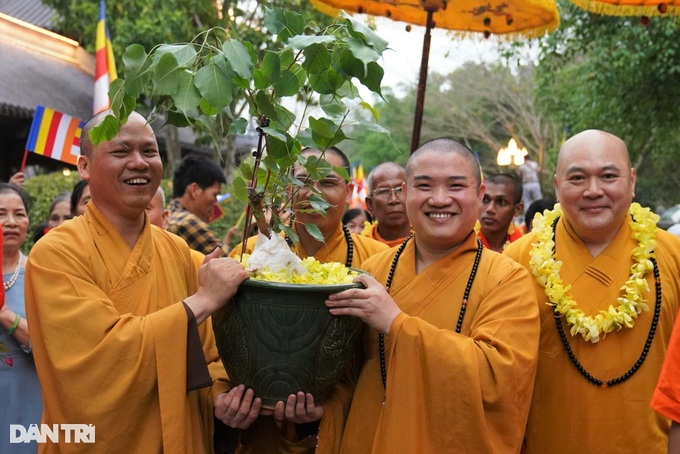 Sri Lanka tặng ngôi chùa lớn nhất Việt Nam cây bồ đề thiêng - 4