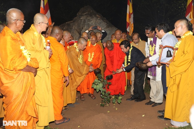 Sri Lanka tặng ngôi chùa lớn nhất Việt Nam cây bồ đề thiêng - 5