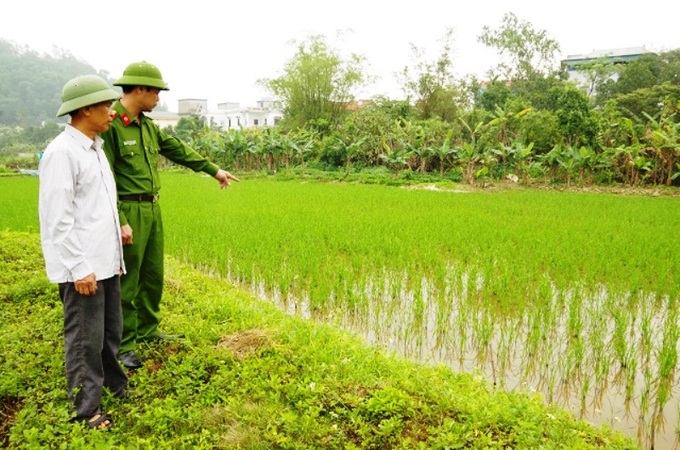 Giăng điện bẫy chuột, làm chết hàng xóm - 1