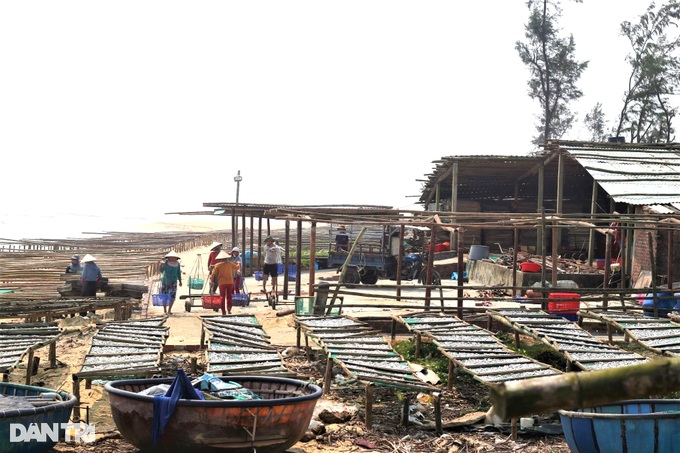 Red season at steaming fish village - 1 Red season at steaming fish village - 1