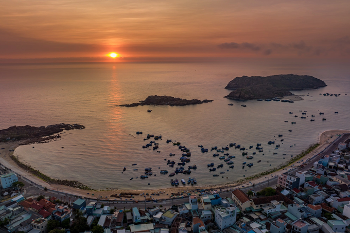 Đi du lịch Quy Nhơn giật mình vì giá hải sản... quá rẻ - 1