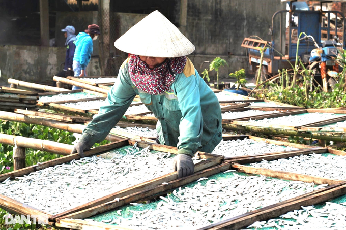 Red season at steaming fish village - 4