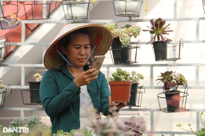 Leaving the city to return to his hometown to grow succulents, Dak Nong boy earns hundreds of millions per month - 3