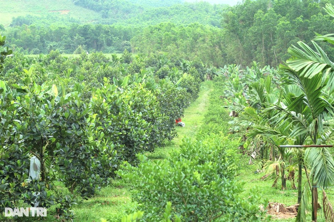 Father and son join hands to get rich, turn hills and bomb craters into organic farms - 1