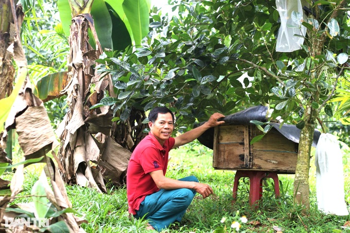 Cha con hợp sức làm giàu, biến quả đồi, hố bom thành trang trại hữu cơ - 3