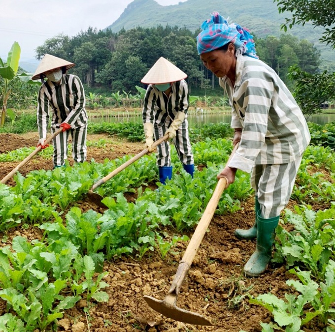 Lương tri, tình mẫu tử và những hối tiếc muộn màng - 3 Lương tri, tình mẫu tử và những hối tiếc muộn màng - 3
