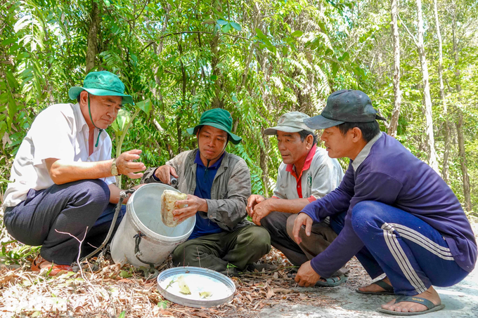 Những người nhện đu cây, băng rừng săn ong khủng - 9