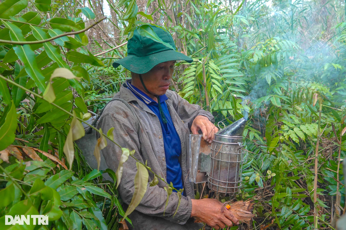 Những người nhện đu cây, băng rừng săn ong khủng - 4