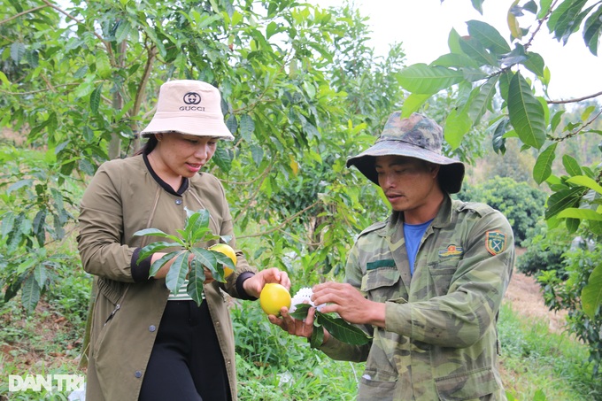 Vỗ vú sữa bằng tỏi ngâm rượu, nông dân trẻ thu trăm triệu mỗi năm - 1