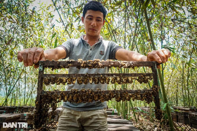 Feed millions of buzzing workers now and then make a lot of money tomorrow - 1 Feed millions of buzzing workers now and then make a lot of money tomorrow - 1