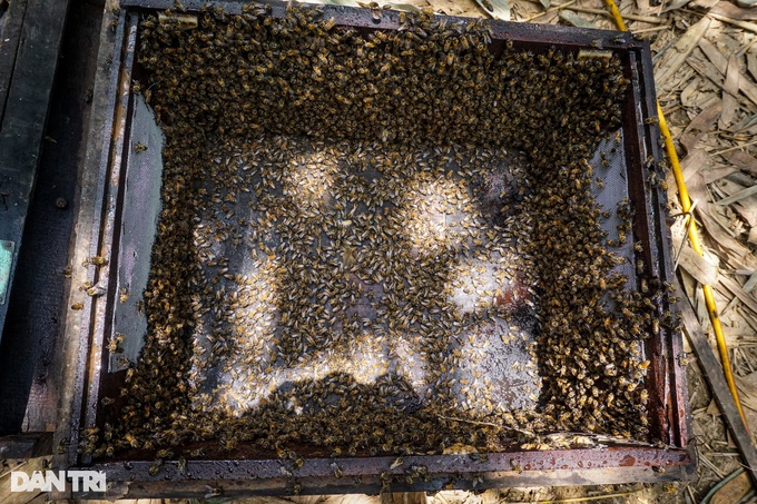 Feed millions of buzzing workers now and then make a lot of money tomorrow - 2 Feed millions of buzzing workers now and then make a lot of money tomorrow - 2