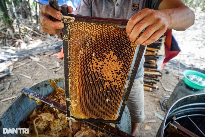 Feeding millions of buzzing workers now and then, tomorrow will make a lot of money - 5 Feeding millions of buzzing workers now and then, tomorrow will make a lot of money - 5
