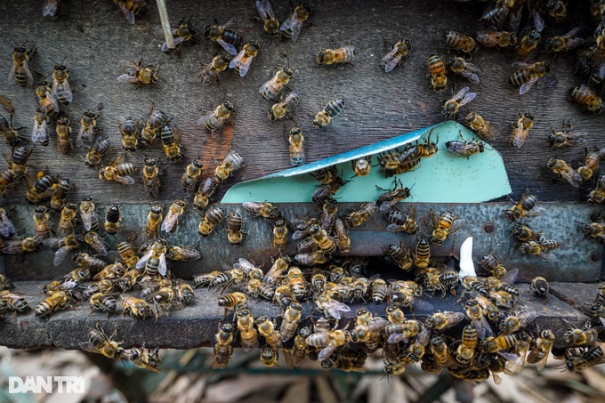 Feeding millions of buzzing workers now and then, tomorrow will make a lot of money - 3 Feeding millions of buzzing workers now and then, tomorrow will make a lot of money - 3