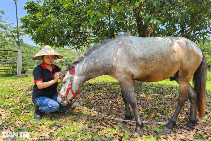 Biến vườn hoang thành điểm check in vạn người mê, 9X thu nửa tỷ đồng - 3