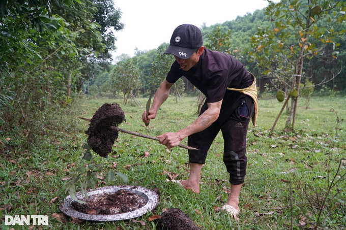 Nghề lạ ở vùng cao nhiều người sợ, kiếm tiền triệu mỗi ngày - 2