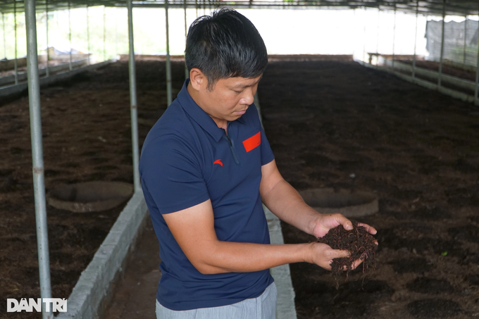 Quitting her job as a teacher to play with cow dung, collect half a billion dong a year - 3