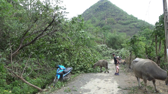 Lào Cai: Mưa đá, dông lốc gây hư hỏng nhà ở và hoa màu ở huyện Si Ma Cai - 2