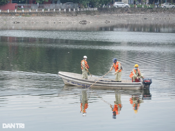 Hà Nội: Hồ Hoàng Cầu cá chết nổi trắng do thay đổi thời tiết - 1 Hà Nội: Hồ Hoàng Cầu cá chết nổi trắng do thay đổi thời tiết - 1