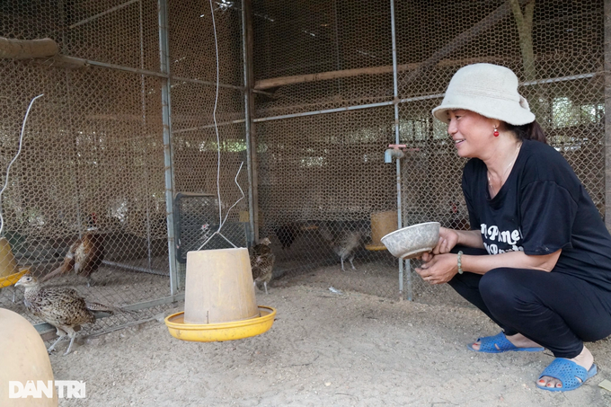 The leader of the Women's Union got out of poverty by raising pheasants - 1