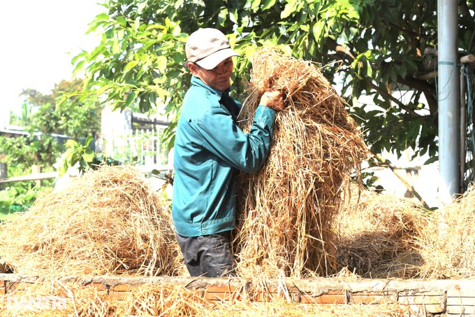Farmers change their lives thanks to... straw - 1 Farmers change their lives thanks to... straw - 1