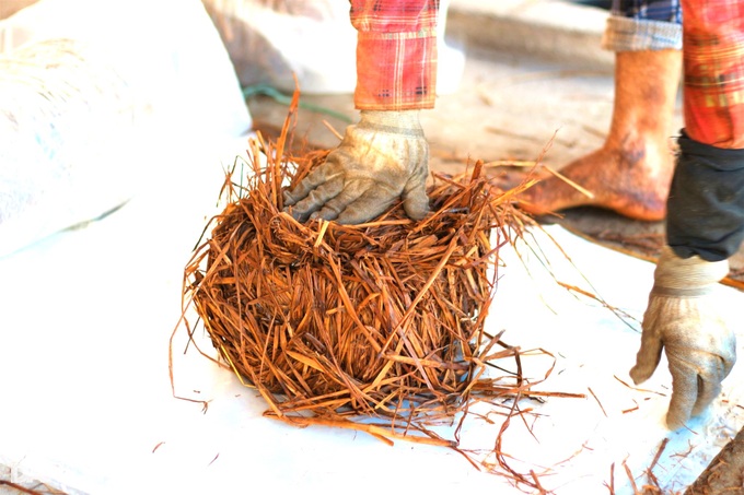 Farmers change their lives thanks to... straw - 2 Farmers change their lives thanks to... straw - 2
