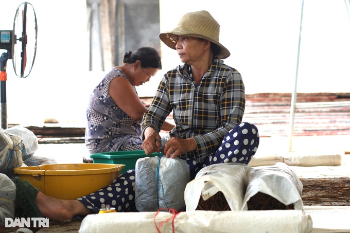Farmers change their lives thanks to... straw - 4 Farmers change their lives thanks to... straw - 4