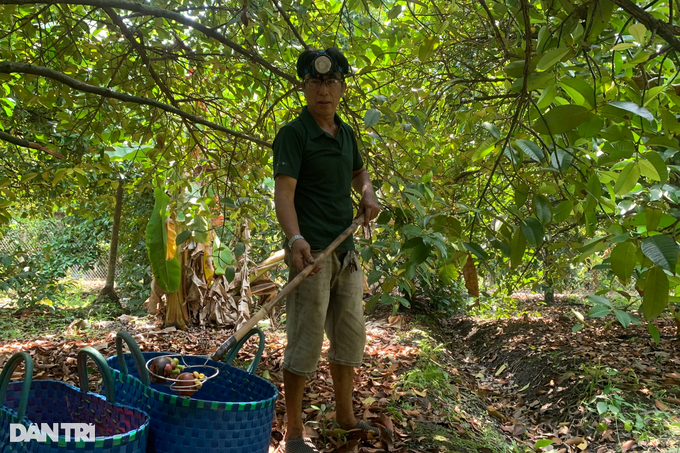 Swinging to pick the most popular fruit on social networks earn half a million a day - 8