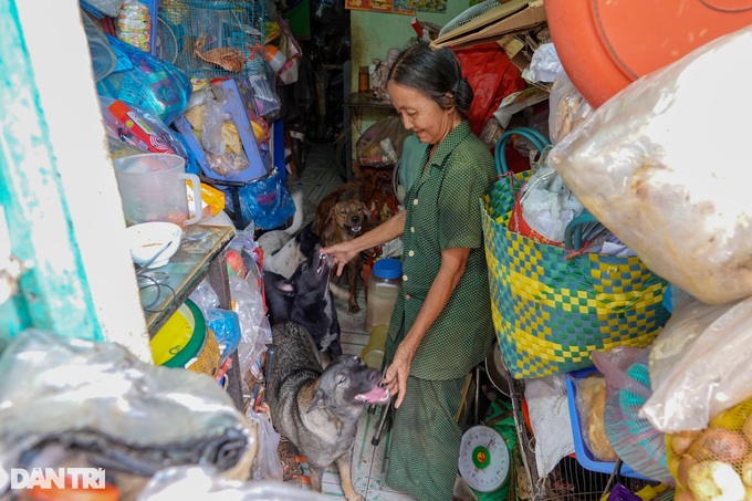 Cụ bà từng 3 nhà, về già tay trắng vẫn nhịn ăn nuôi đàn chó, mèo hoang - 3